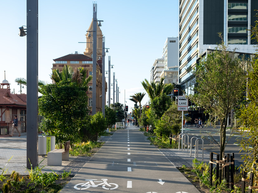 Integrated cycleway, green infrastructure, and lighting.