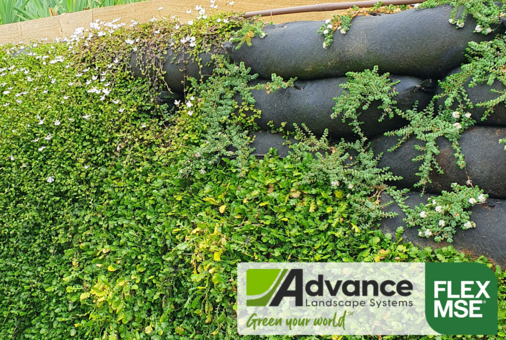 Lunchtime learning with NZILA National Partner Advance Landscape Systems
