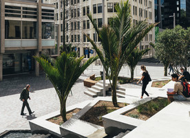 Due north orientation of the steps, with an informal arrangement of nikau and pōhutukawa provide for seating in the sun or shade. Intricate patterns of shadow are cast across the more linear arrangement of steps on a sunny day and by lighting in the evening.