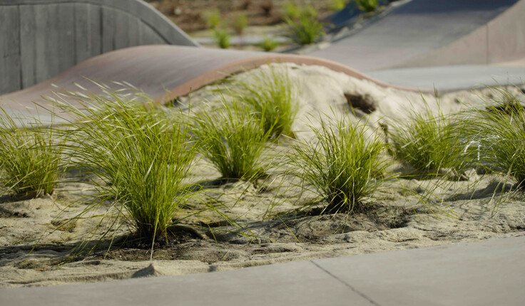 Image: uploads/2025_10/Natural-Geotextiles-Urban.jpg