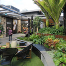 A wide range of native and exotic plants were chosen to create the tropical rainforest feel in Auckland’s wetter, more temperate environment. While some plants were able to be confirmed early and grown on, much was flexible to the end and overplanted at tight spacings to provide the experience of a mature forest setting.