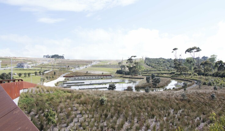 Landlab’s Vaughan Stream project on Auckland’s North Shore.