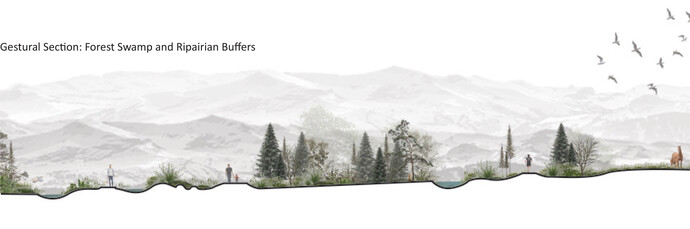 Section of proposed buffer system.