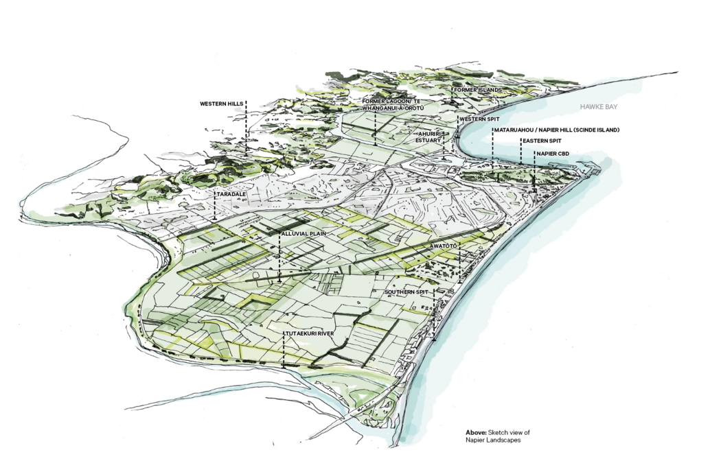 Napier Landscape Study New Zealand Institute of Landscape Architects