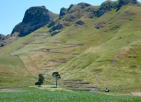 Brad Coombs says the Te Mata Peak issue demonstrated the huge public interest in New Zealand’s landscapes.