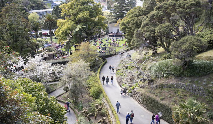 Wellington Botanic Garden. Photo credit: Nick Gee for Wellington City Council.