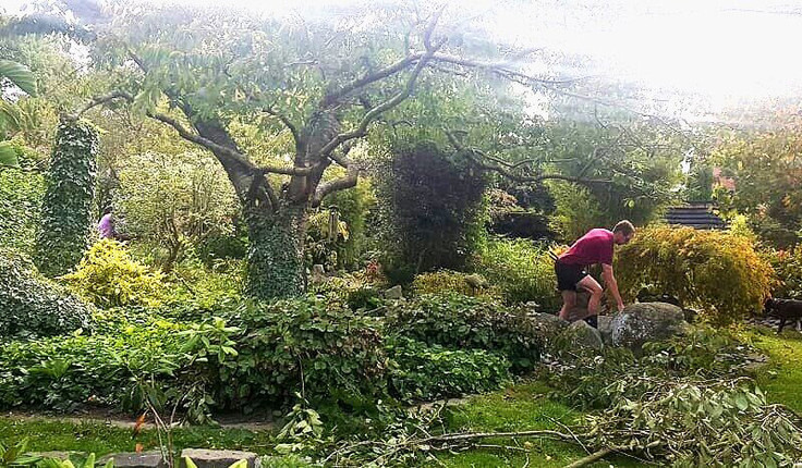 “I love gardening in the autumn. Over summer everything looks so charming that you’re willing to overlook areas that are out of control. By autumn you’re ready for a big clear out! Pruning, limbing and pulling to reveal the essential form of the garden and letting in the light. What could be more inspirational?”