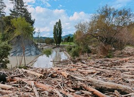 Lisa Rimmer says it’s widely acknowledged the devastating recent floods have been made worse by inappropriate land use patterns on highly erodible soils.