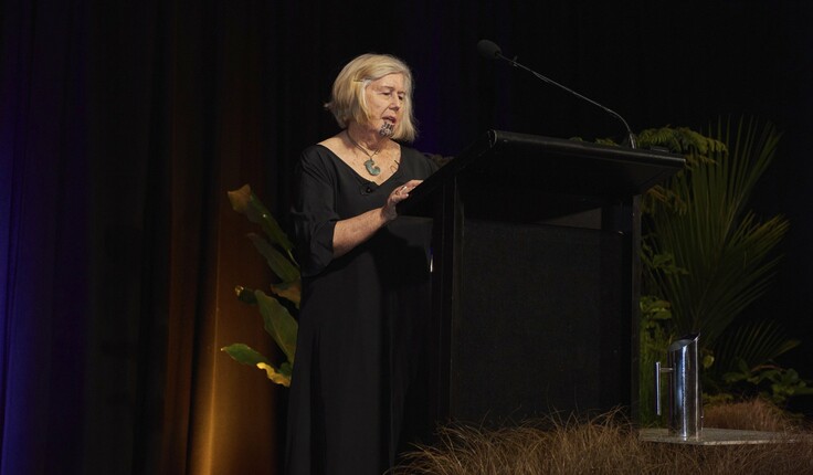 Dr Diane Menzies presented on the challenges and successes of the second 25 years of NZILA.