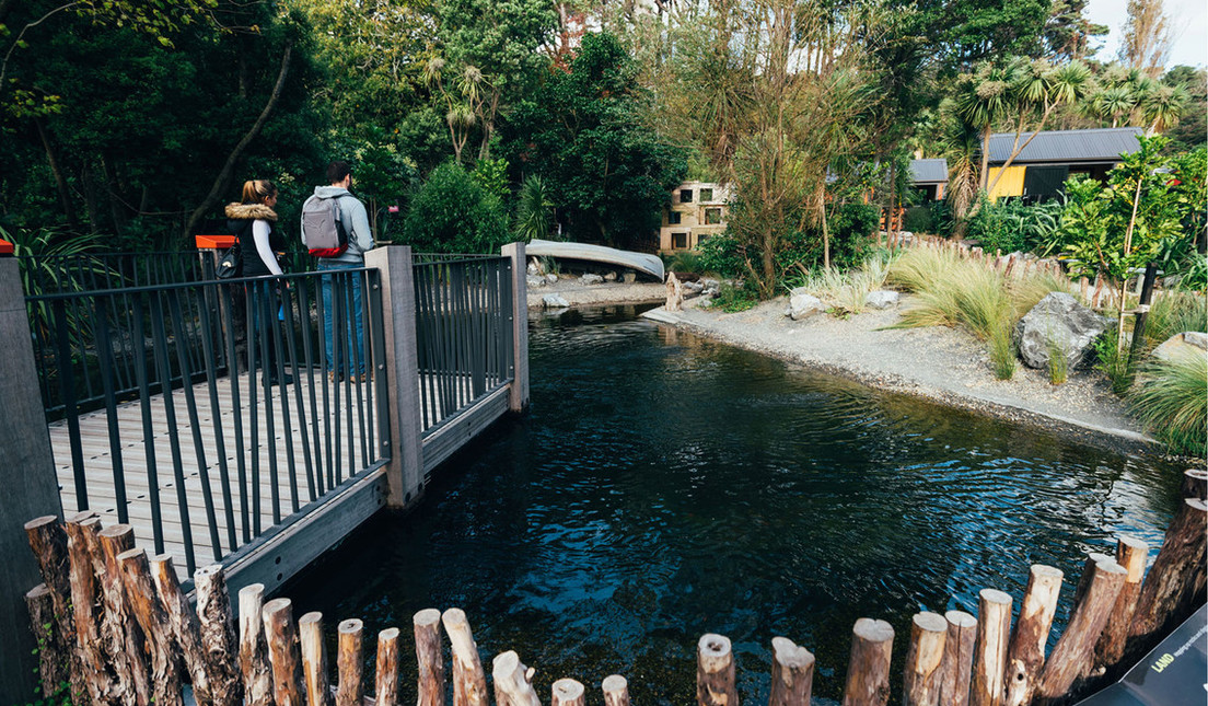 Meet the locals at Wellington Zoo's award winning love story to