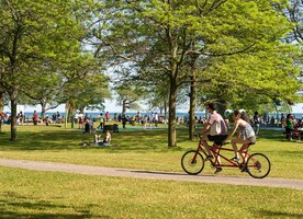 Parks in Action highlights the role of parks and open spaces in fostering climate action in Toronto’s inner suburbs. Free workshops will explore themes of urban heat, flooding and green infrastructure.
