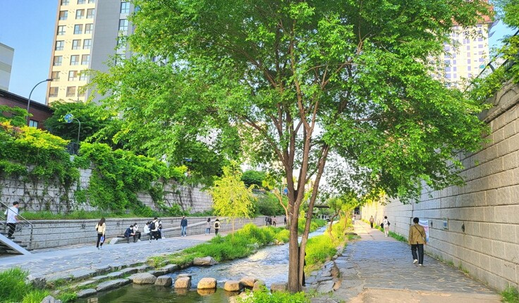 By demolishing an elevated motorway and uncovering a section of the historic Cheonggyecheon Stream, the Cheonggyecheon Restoration Project created both ecological and recreational opportunities in the centre of Seoul.