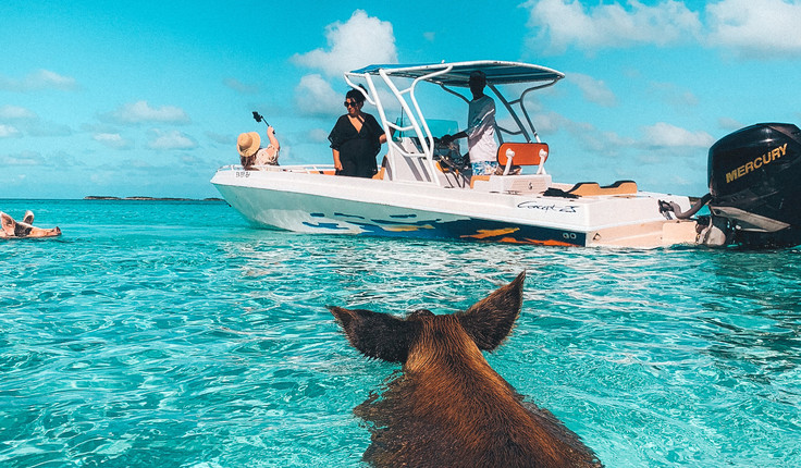 “My dream was to visit the swimming pigs in the Bahamas and I finally got to go!”