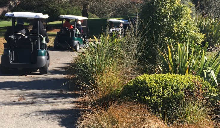 Golf cart tour at the sanctuary