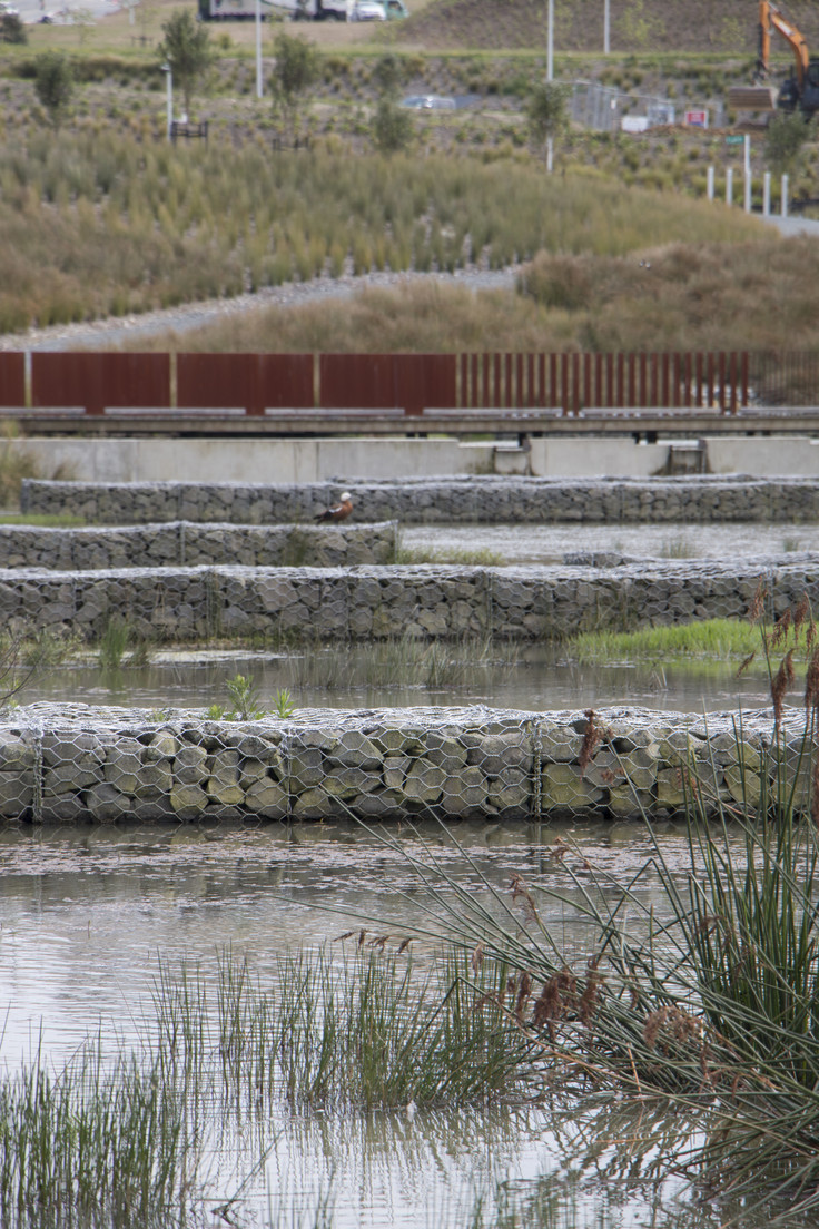 Walkway bordering the wetlands_