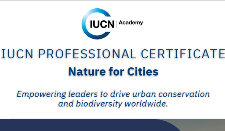 Image: uploads/2026_03/Screenshot_2026-03-25_at_1.11.29PM.png