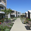 The aesthetics of the landscape areas have also been carefully considered to present a modern, lush and distinctive which moves away from the rigid formality and closed feeling of traditional retirement villages