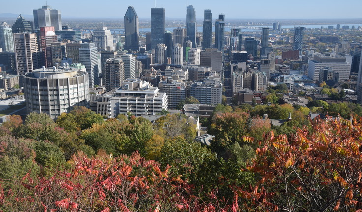 Central Montreal from Mt Royal - spot Leonard Cohen!