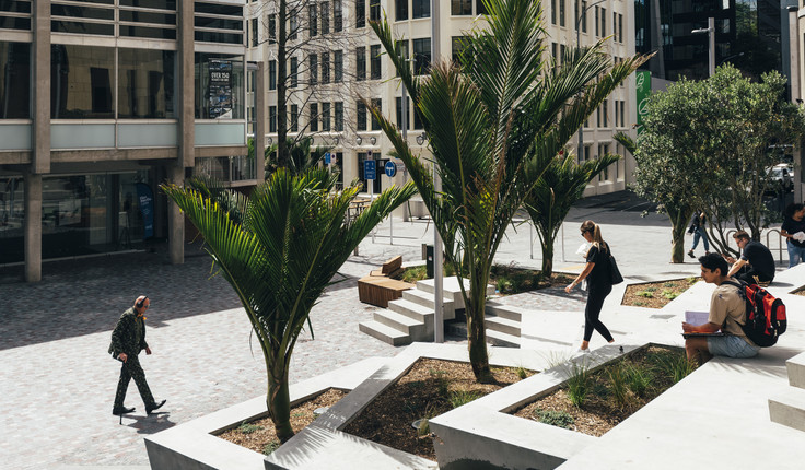 Due north orientation of the steps, with an informal arrangement of nikau and pōhutukawa provide for seating in the sun or shade. Intricate patterns of shadow are cast across the more linear arrangement of steps on a sunny day and by lighting in the evening.