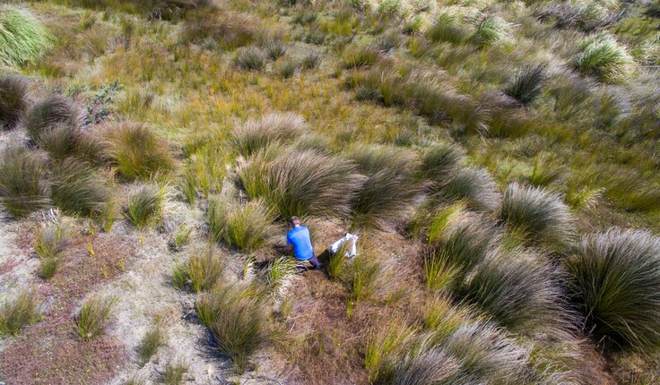 Kauri Park — We are on a mission from Mother Nature herself.