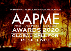 2020 AAPME Awards