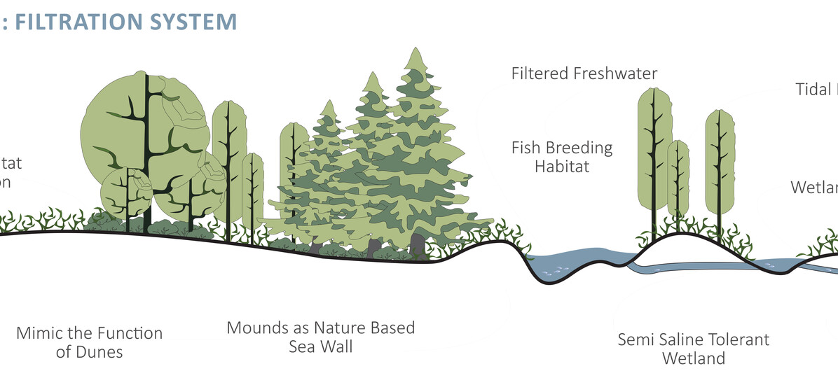 Section of proposed buffer system.