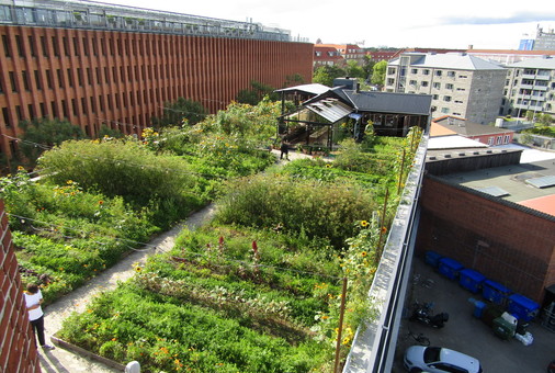 Carl Pickens on Urban Agriculture