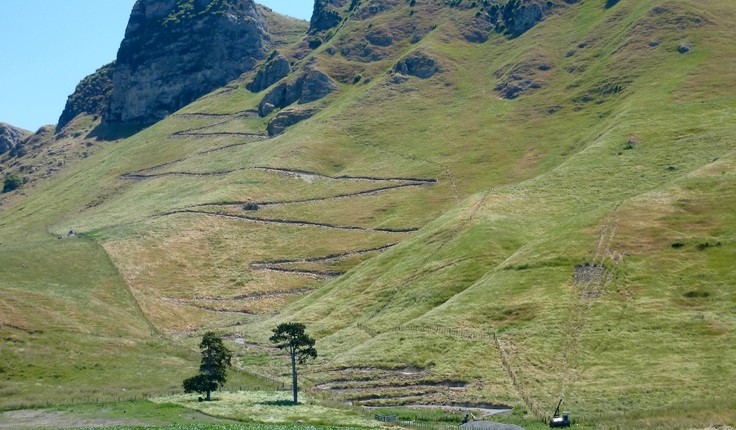 Brad Coombs says the Te Mata Peak issue demonstrated the huge public interest in New Zealand’s landscapes.