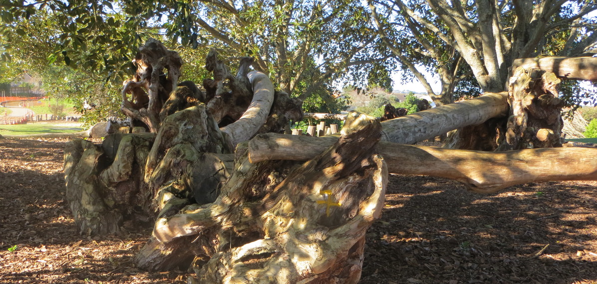 Mara Hupara Playground | New Zealand Institute of Landscape Architects ...