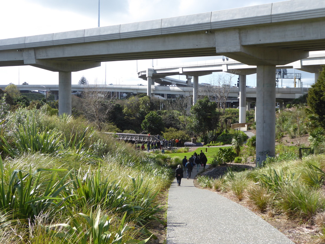 Waterview Shared Path
