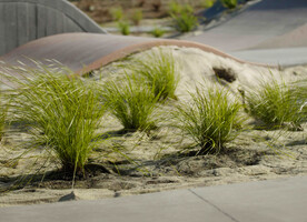Image: uploads/2025_10/Natural-Geotextiles-Urban.jpg