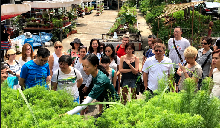Edible Garden City conducts regular workshops and outreach, to empower and teach Singaporeans to grow their own food. Photo credit: Edible Garden City.
