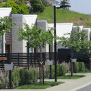 An informal design language was developed using flowering and distinctive plants intended to provide seasonal interest to the residents