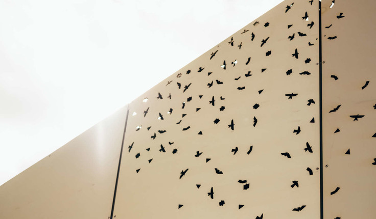 Representation of manuaute (Māori kites) laser cut into the cladding of the amenity building.