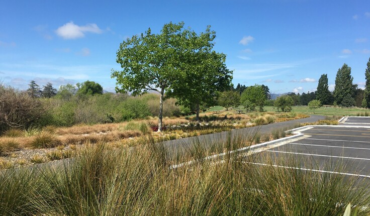 Eliot Sinclair developed a plan to repair and regenerate Horseshoe Lake reserve in North East Christchurch.