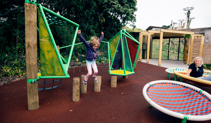 Custom playspace with collaborators Te Mahi mirrors the chimps' environment.