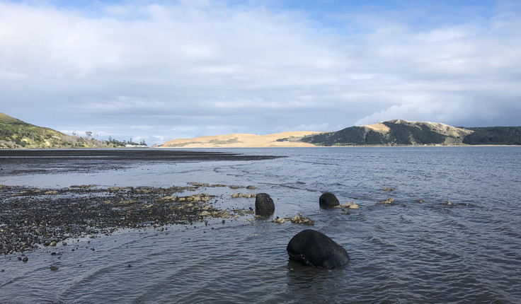 Pūtahi a Whenua - Confluence of Landscape - Te Kerekere - By Te Kerekere Louise Vernee Roycroft