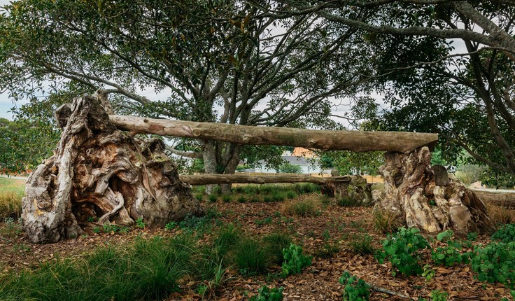 No plastic in this playground - just nature