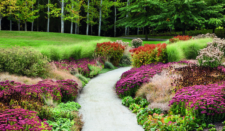 The award judges feel the garden provides a benchmark for contemporary New Zealand garden design.