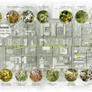 Botanic Urban Gin Forage Map