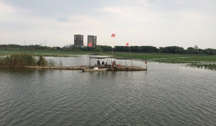 Conference delegates visited Lake Hengshui, the largest freshwater lake in the dry north east corner of China.
