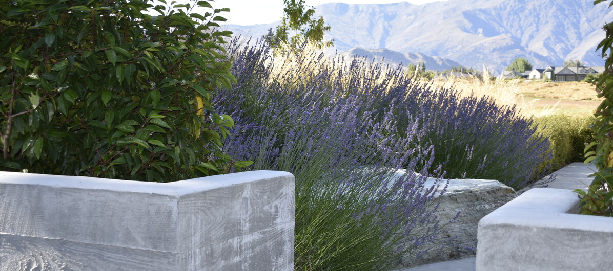 Millbrook Residential Garden