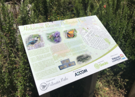 Andrea Reid has been working on the Pollinator Paths concept since 2014.