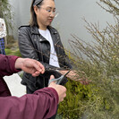 Foraging fresh urban botanicals