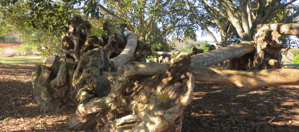 Mara Hupara Playground