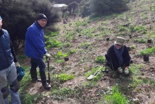 Spade Aid Planting Day