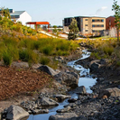 The central spatial element of community resilience and environmental sustainability is the award-winning Te Ara Awataha, an ecological corridor connecting residents, and working to reduce flooding risks within the neighbourhood.