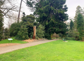 Image: uploads/2025_08/CCC_BotanicGardens_News_article_August_2025_626x365.png