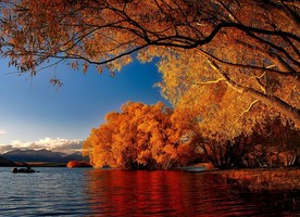 The NZILA president says the planned tourism levy makes sense if it helps conserve popular tourist spots like Lake Tekapo pictured here.