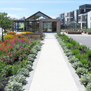 Warm tones reflecting the beaches of the nearby Hibiscus Coast feature prominently in the finishes of the footpath and communal area paving,